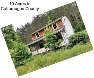 10 Acres in Cattaraugus County