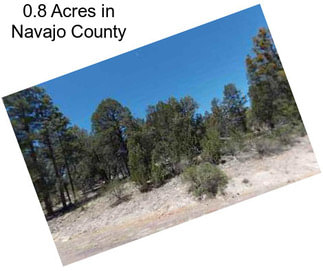 0.8 Acres in Navajo County