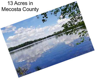 13 Acres in Mecosta County