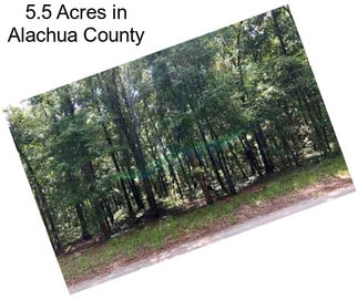 5.5 Acres in Alachua County