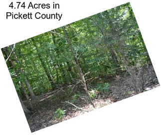 4.74 Acres in Pickett County