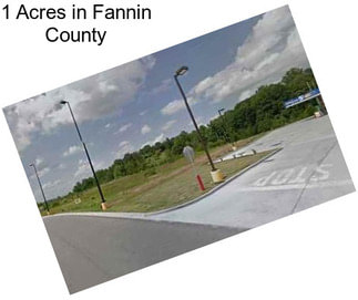 1 Acres in Fannin County