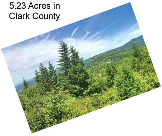 5.23 Acres in Clark County