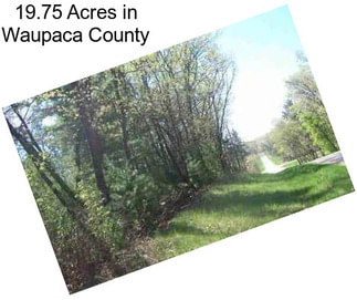 19.75 Acres in Waupaca County