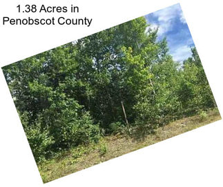 1.38 Acres in Penobscot County