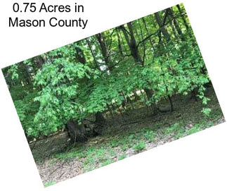 0.75 Acres in Mason County