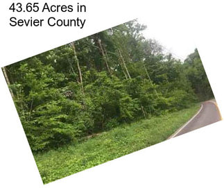 43.65 Acres in Sevier County