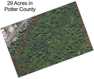 29 Acres in Potter County