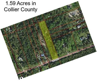 1.59 Acres in Collier County