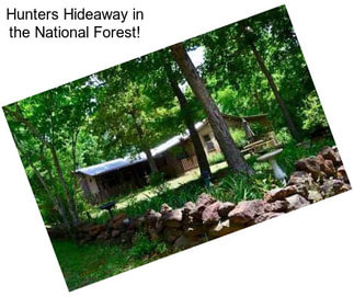 Hunters Hideaway in the National Forest!