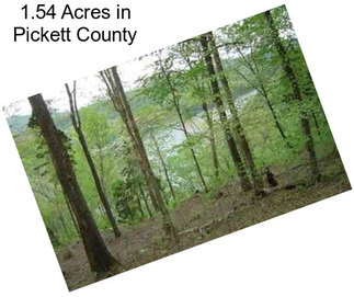 1.54 Acres in Pickett County