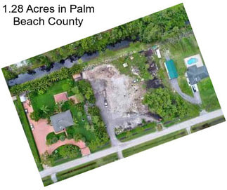 1.28 Acres in Palm Beach County