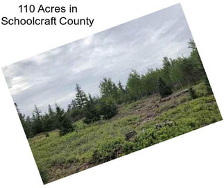 110 Acres in Schoolcraft County