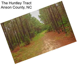 The Huntley Tract Anson County, NC