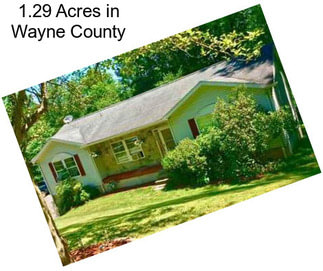 1.29 Acres in Wayne County