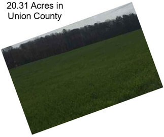 20.31 Acres in Union County