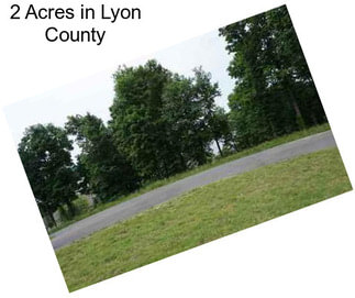 2 Acres in Lyon County