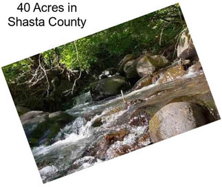 40 Acres in Shasta County