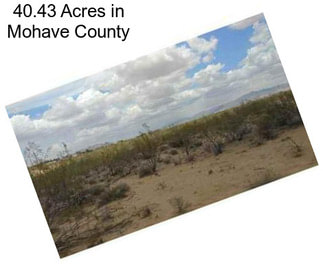 40.43 Acres in Mohave County