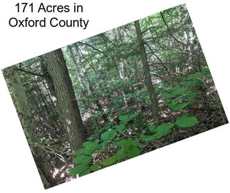 171 Acres in Oxford County