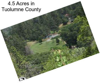 4.5 Acres in Tuolumne County