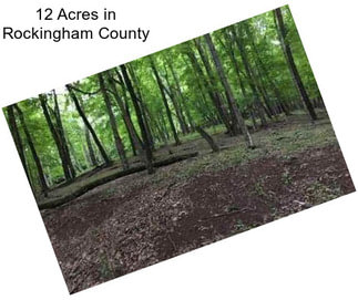 12 Acres in Rockingham County