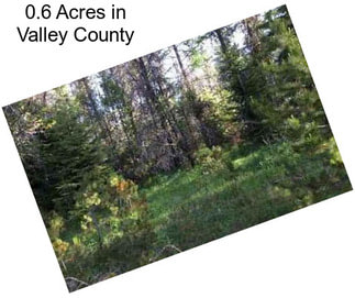 0.6 Acres in Valley County