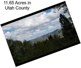 11.65 Acres in Utah County