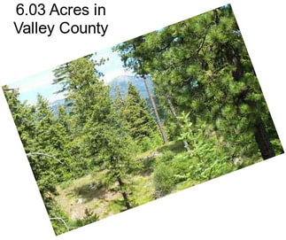 6.03 Acres in Valley County