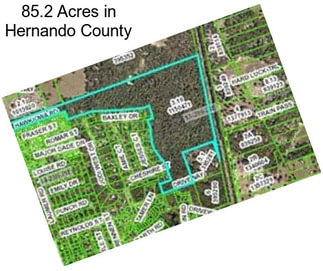 85.2 Acres in Hernando County