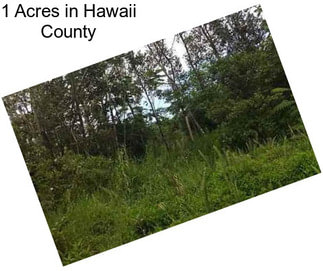 1 Acres in Hawaii County