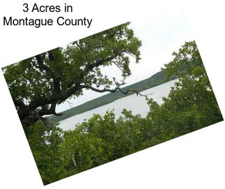 3 Acres in Montague County