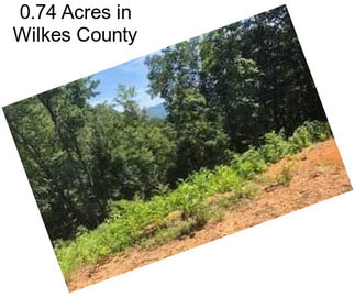 0.74 Acres in Wilkes County