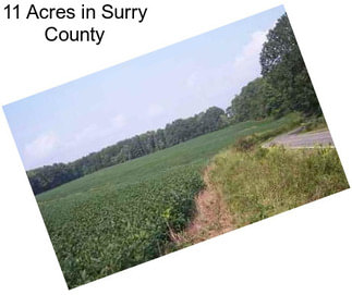 11 Acres in Surry County