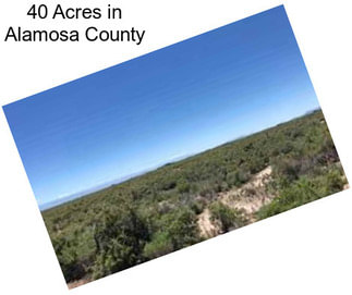 40 Acres in Alamosa County