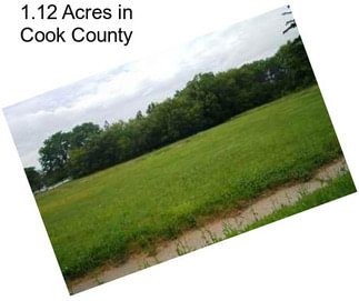 1.12 Acres in Cook County