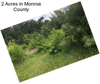 2 Acres in Monroe County