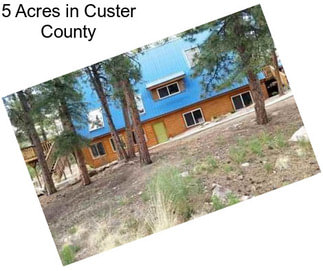 5 Acres in Custer County