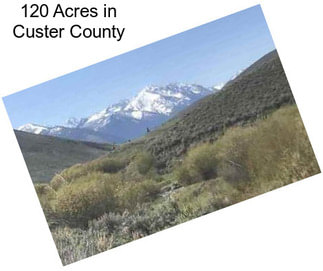 120 Acres in Custer County