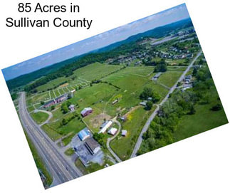 85 Acres in Sullivan County