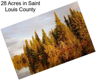 28 Acres in Saint Louis County