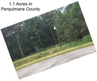 1.1 Acres in Perquimans County