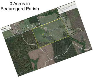 0 Acres in Beauregard Parish