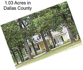 1.03 Acres in Dallas County