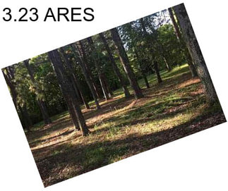 3.23 ARES