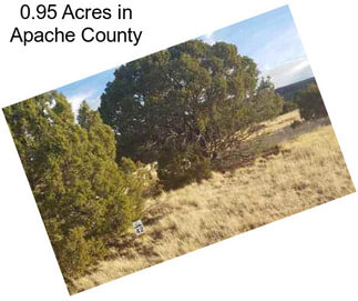 0.95 Acres in Apache County