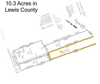 10.3 Acres in Lewis County