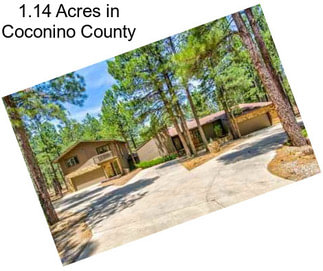 1.14 Acres in Coconino County