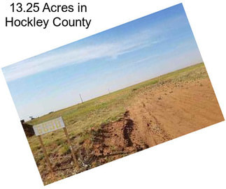 13.25 Acres in Hockley County