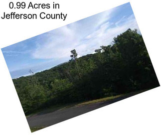 0.99 Acres in Jefferson County